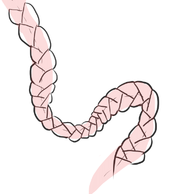 The 'Failed Braid' Diagram